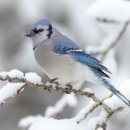 신진 행정사 사무소 이미지