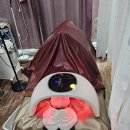 평택워시돔 | 평택 꽃다비스킨케어 전신디톡스 바디관리 후기 | 예비신부 붓기케어 • 다이어트 효과 리얼체험