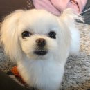 두온 이미지