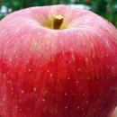 부전초등학교 이미지