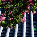 요월정 화장실 이미지