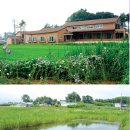 금율로 2 이미지