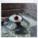 사일로1 | [경북] 국내 온천 추천, 대구 근교 데이트 | 아기와 함께한 영천 사일온천 후기