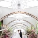 에이티원샵 | 화이트톤 가성비 본식스냅 추천 손수그라피 계약후기 (더링크 화이트홀)