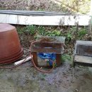 늘봄농장 이미지