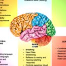 구조통합연구소 이미지