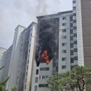 서울도성초등학교 이미지