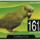 분당-161 이미지