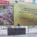 엄나무닭;옻닭본가암사골