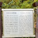 마이산 용암일대 암각서군 이미지