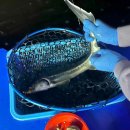 만수낚시터 | [인천실내데이트] 대어를 낚아보자 &#39;나까보까실내낚시터&#39;🐟🎣
