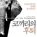 아주작은코끼리