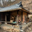 야옹이네 이미지