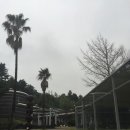 예래동-4 이미지