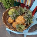 야채시장 이미지