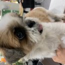 성산6길 이미지