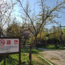 영등근린공원 이미지