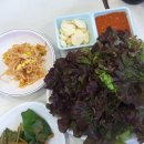 소백산생고기