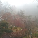 방동가든 이미지