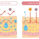 신생한의원 이미지