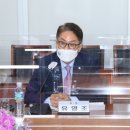유영조 이미지
