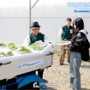 (유)미래운송