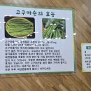 육일식당송천직영점 이미지