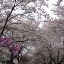 앞산공원 이미지