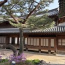 덕수궁 | 서울 도심 산책 코스 추천! 덕수궁 후기 (+입장료, 사진스팟)