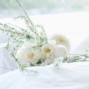 w17 닉스플로스 플라워디렉팅 부케 디렉팅 무이스튜디오 촬영 후기