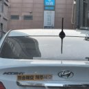 이호한의원 | 2월 일상, 꼬꾸와 만나기 전까지