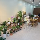 수수꽃달 이미지