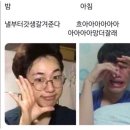 정도태권도 이미지