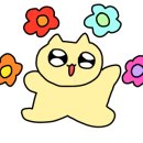 서울봄안경원 이미지