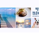 픽독 이미지