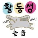 도연컴퍼니 | 47. [강남] 메모리 컴퍼니 - 필름 바이 밥 / 영화보다 더 영화 같은 몰입도 끝판왕 테마