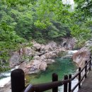 대원사정류장 이미지