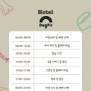 독핏 - 강남구 강남대로140길 26 | 독핏