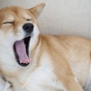 호텔 라온 이미지