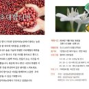 담양커피농장