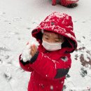 구립 푸른별어린이집 이미지