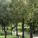 공항교강변공원 | W1. 대구 셀프웨딩촬영 했어요! 야외셀프촬영 장소 공항교 강변공원 주차🌱 (피드백 내용 포함)