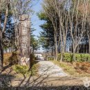 마루공원 축구장_1 이미지