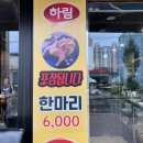 대한일인일닭