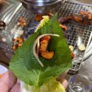 대구 서구 평리동 아나고 곰장어 닭발 노포 맛집 산곰장어먹고아나고안될껄