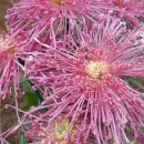 동래원예고등학교 이미지