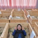 전북특별자치도농업기술원 | 전북특별자치도 농업기술원sns홍보단 활동을 마감하며 원예치유체험을 하고 왔어요