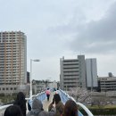 은하카프라자 | [25/4/4~4/6]부산국제항만터미널에서 부산훼리 성희호 타고 시모노세키 다녀온 후기