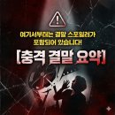 최신영화 파일럿 | 설날 특선영화 파일러 배경 출연진 등장인물 누적관객 결말 포함 스포일러 정보