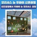 [두바이 &amp; 모리셔스 신혼여행] 인천공항에서 두바이 경유 , 모리셔스 공항 도착